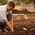 organic news 1 e1608714814449