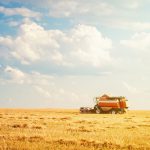 organic news 19