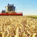 organic news 21