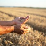 organic news 22
