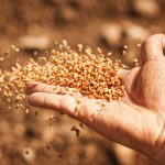 organic news 23