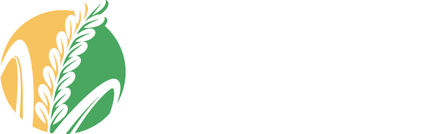 logo light 1