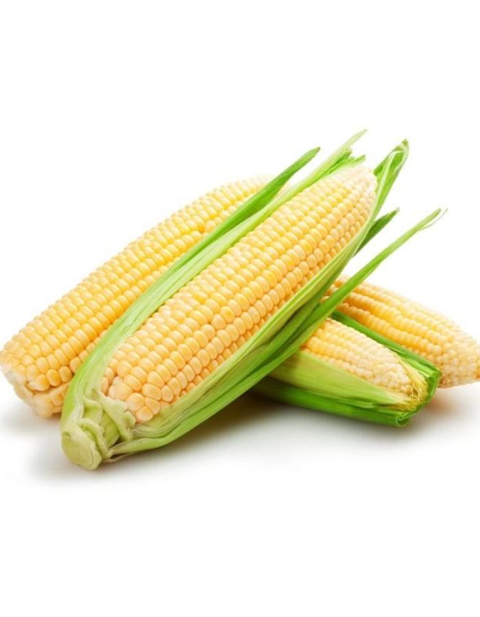 Organic Sweet Corn
